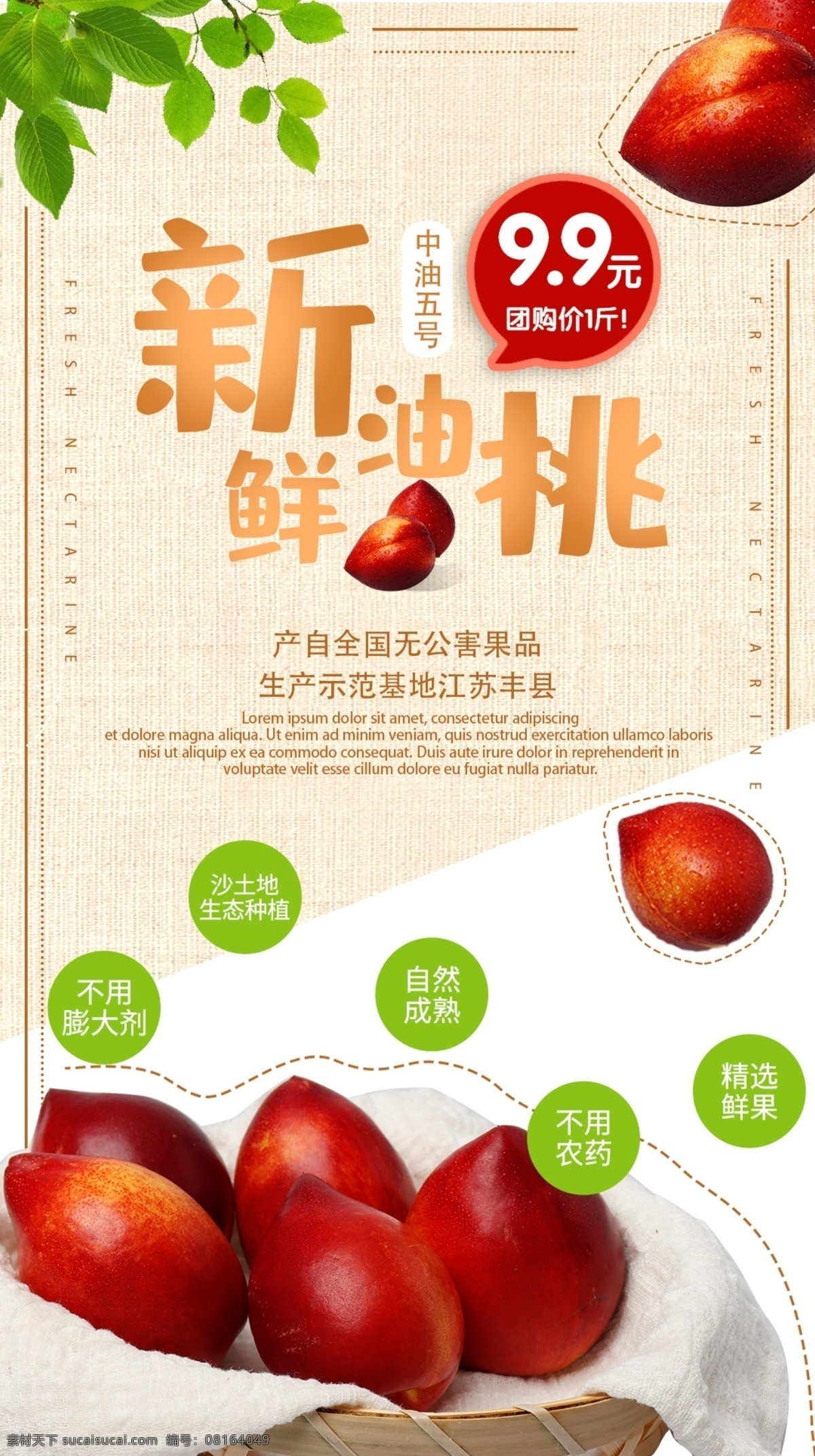油桃海报 桃子海报 宣传画 新鲜油桃 灯箱画 广告 海报