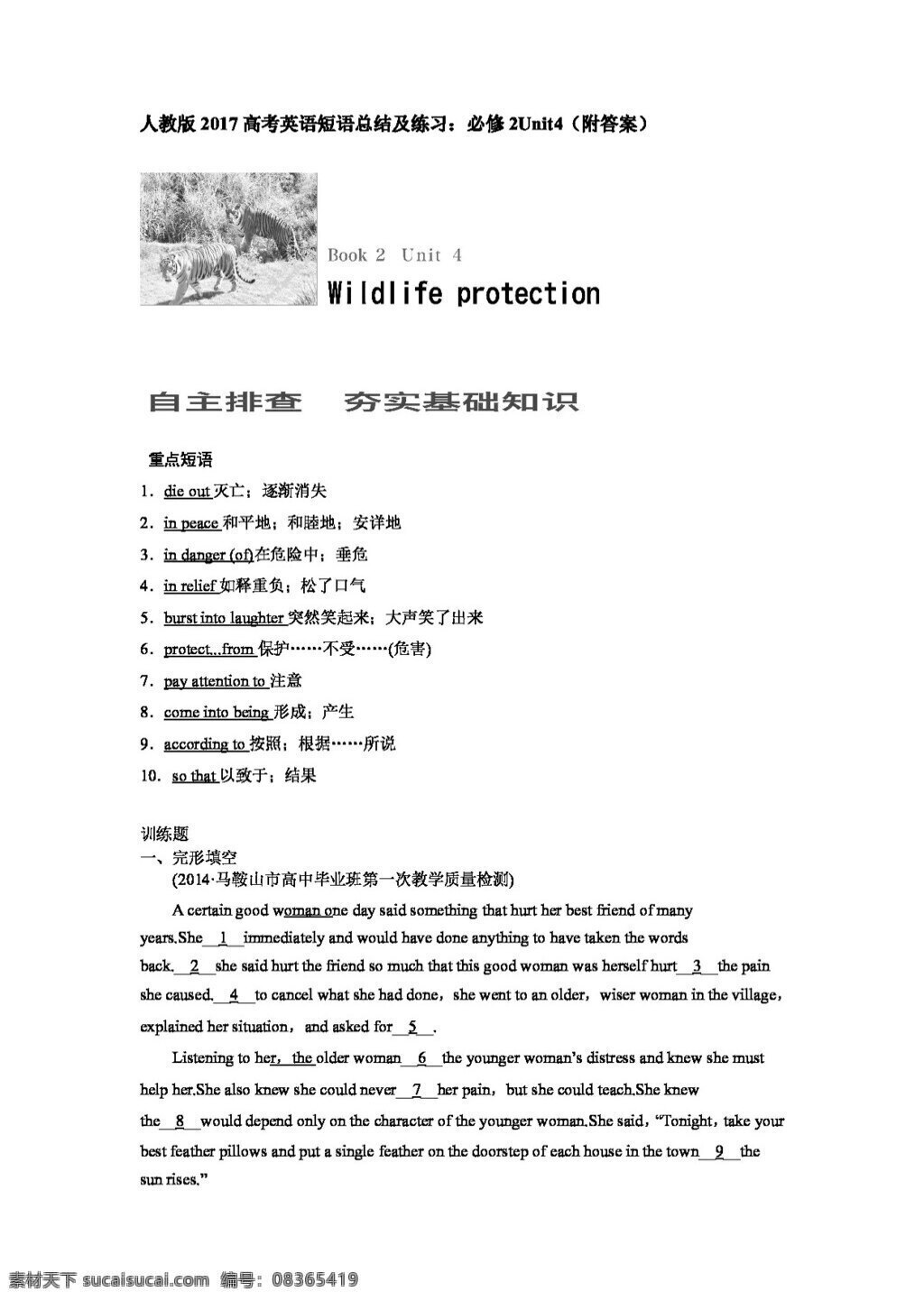 英语 人教 版 高考 短语 句型 总结 练习 必修 unit4 wildlife protection 人教版 试卷