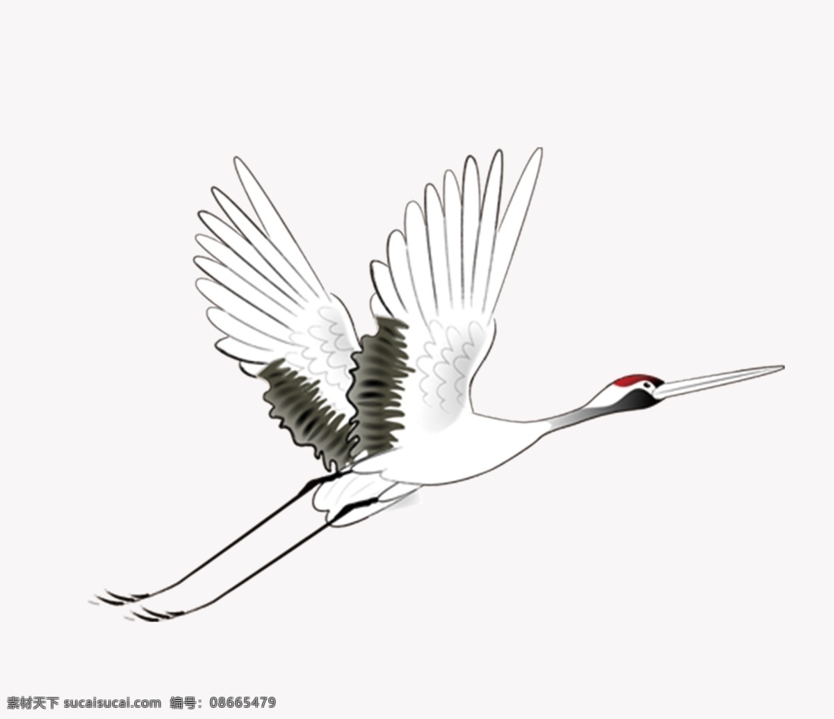 野鹤 传统元素 鹤 丹顶鹤 中国风 翅膀 飞鹤 彩色仙鹤 工笔 飞鸟 标识 生物世界 鸟类