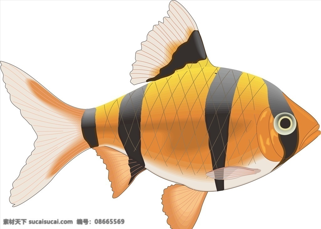 带刺的鱼 海洋鱼 鱼类 矢量 手绘 生物世界