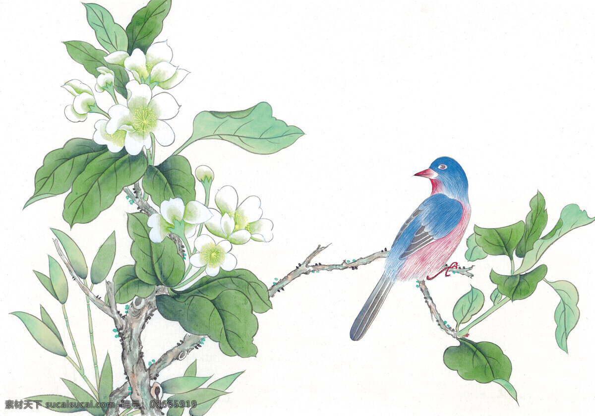 中国 风 花 牡丹 芍药 桃花 喜鹊 小鸟 中国风 中华艺术绘画 文化艺术