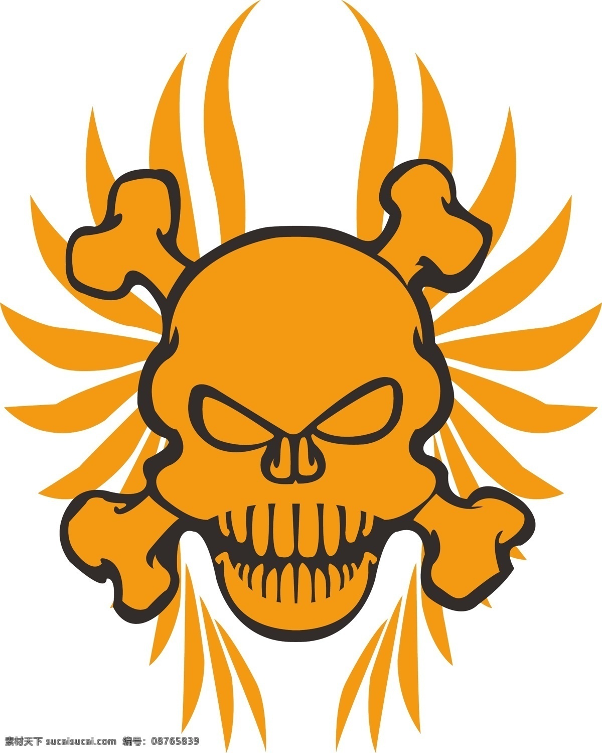 骷顱頭 頭顱 skeleton 白色
