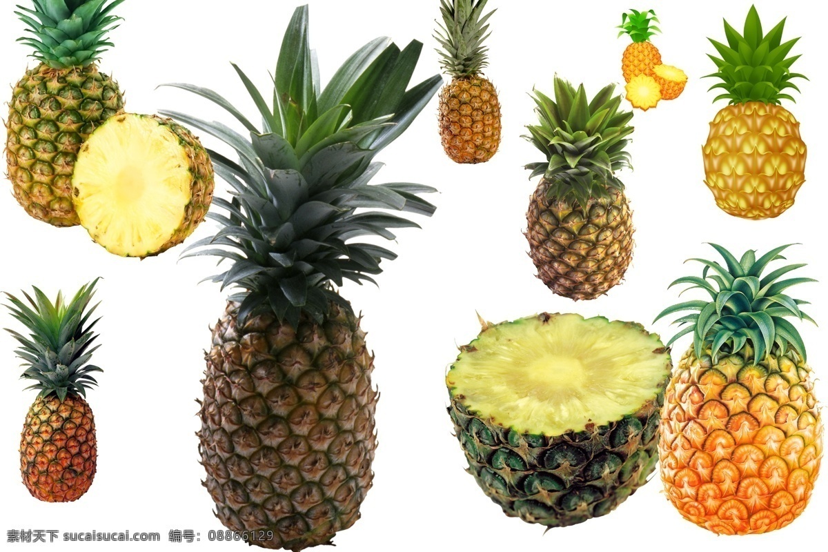 凤梨 透明素材 png抠图 水果 新鲜水果 美味水果 菠萝 热带水果 非 原创 透明 合 辑 分层