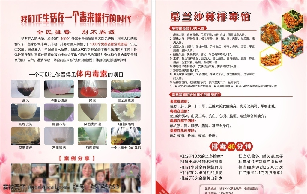 排毒宣传 沙棘排毒 体内毒素 减肥 美容美体 健康 负氧离子 淋巴排毒 经络疏通 类风湿关节炎 内分泌絮乱 亚健康人群 dm宣传单
