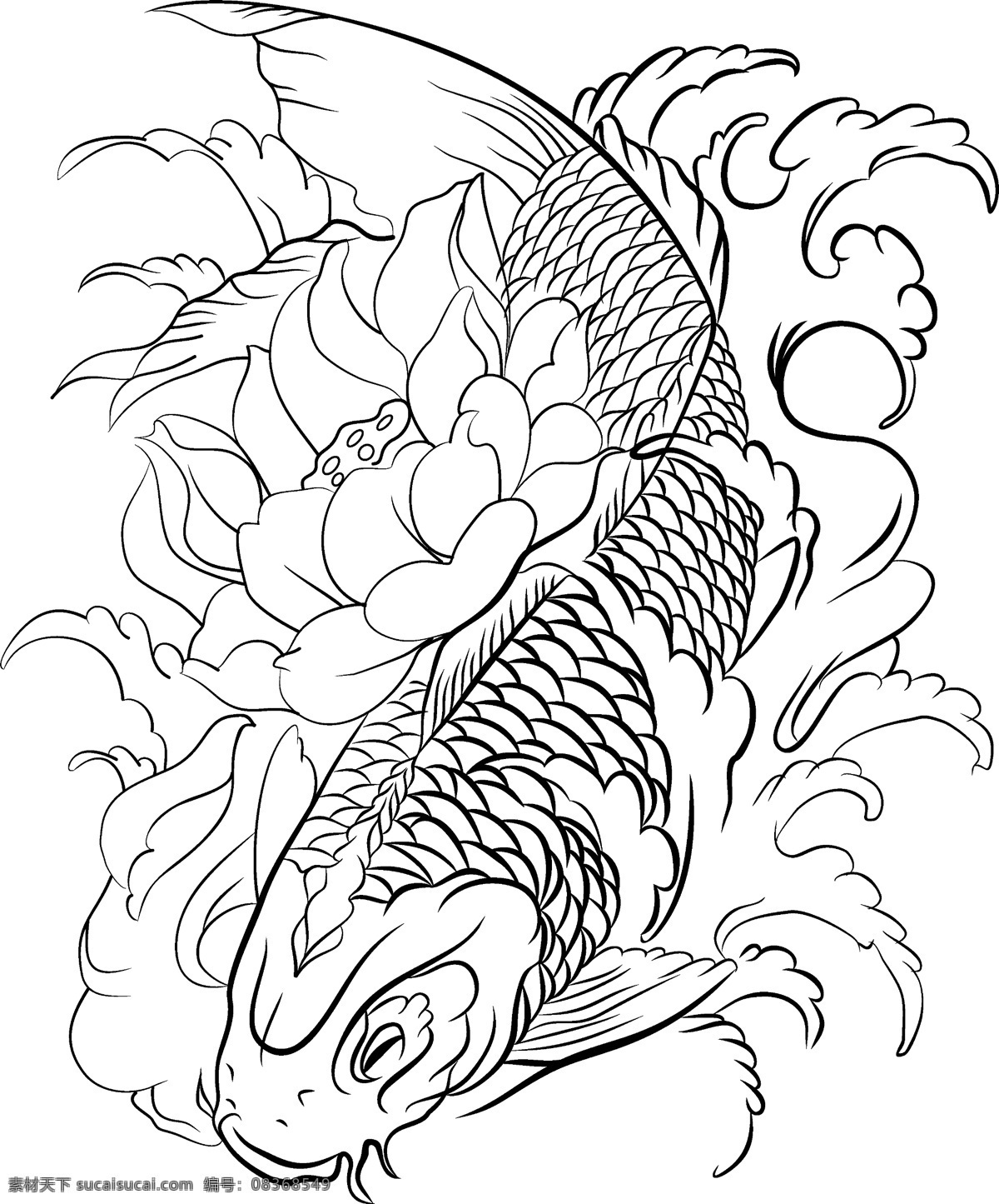 荷花 鲤鱼 手绘 线条 元素 插画 卡通 手绘鱼 png元素