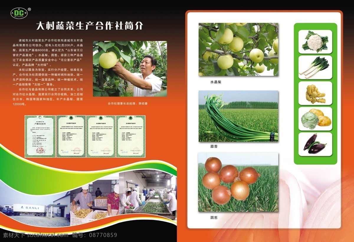 蔬菜 彩页 广告设计模板 画册设计 洋葱 源文件库 蒜薹 水晶梨 海报 宣传海报 宣传单 dm