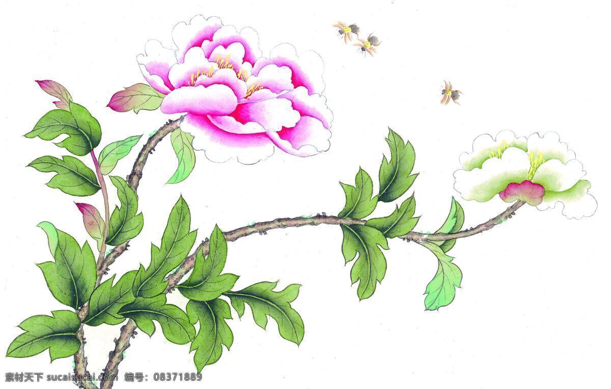 国画花鸟 国画花卉 国画牡丹 国画技法 国画 中国画 传统 绘画 花卉 花鸟国画 文化艺术 绘画书法