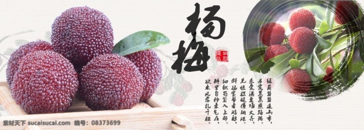 杨梅 淘宝滚动图 水果 中国风 古典 淘宝 广告 banner 淘宝界面设计