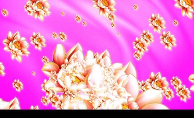 荷花视频 动态视频素材 片头 光效 影视素材 片尾 荷花 梦幻 粉色 led模板 唯美 花卉素材 avi 紫色