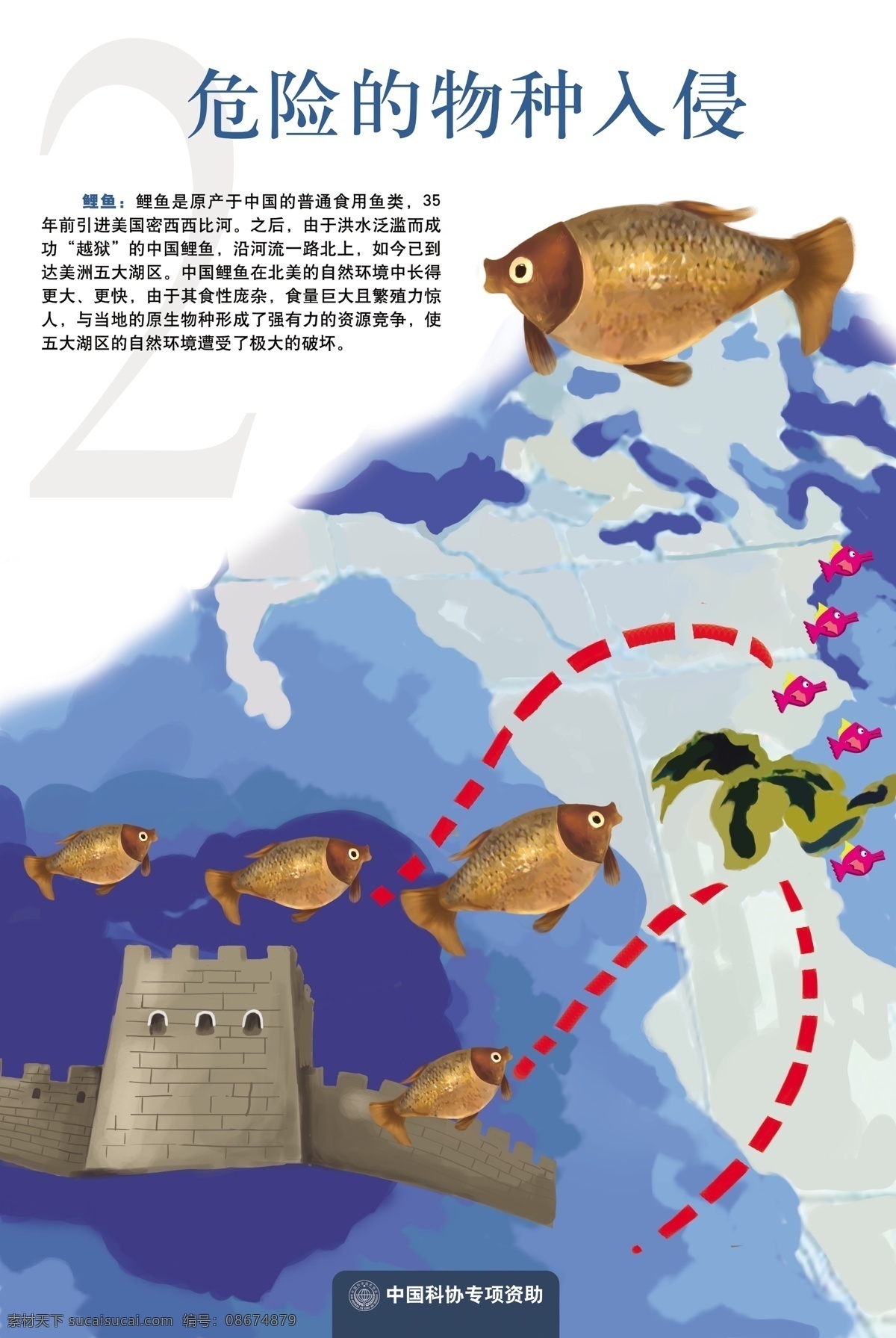 挂图 广告设计模板 科普挂图 科学 鲤鱼 模版 农业 其他模版 水葫芦 巴西龟 蟾蜍 非洲鲈鱼 黑鱼 清道夫 雀鳝 农业产品 农科产品 展板 农业挂图 致富 宣传栏 鱼 水生动物 水草 150dip 源文件