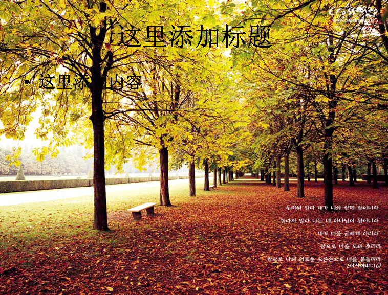 美丽 户外 风景 自然风光 自然风景 模板