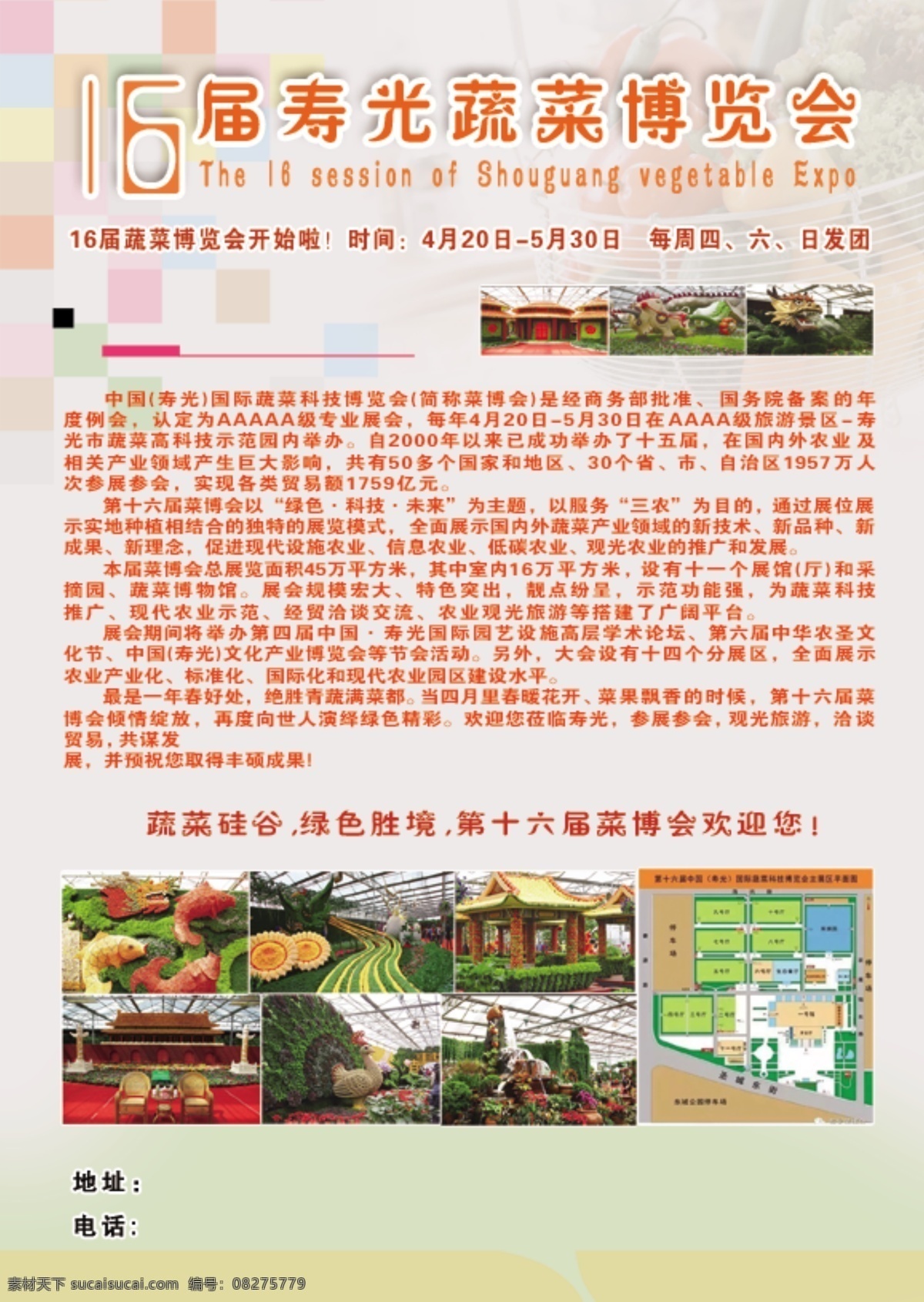 蔬菜 博览会 届 16届 白色