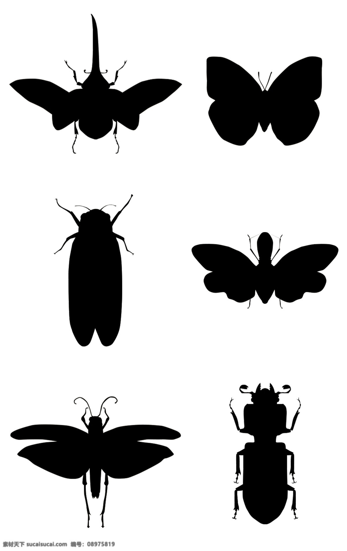 昆虫剪影素材 剪影 蝴蝶 昆虫 线条 翅膀 动物 飞行 美丽 魅力 纹身 图案 镂空