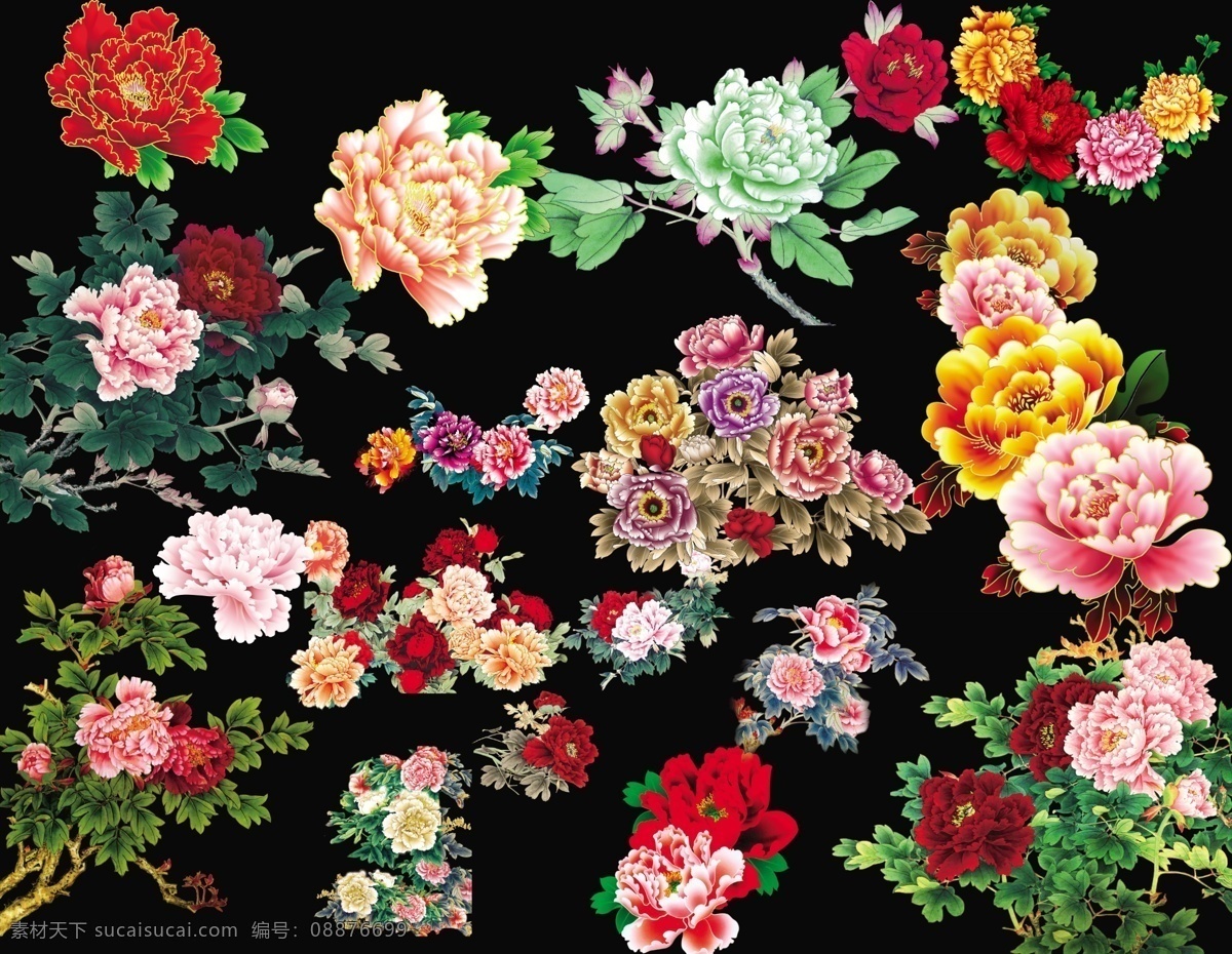 牡丹花卉 牡丹花 荷花 荷叶 牵牛花 郁金香 马蹄莲 菊花 梅花 国画 矢量花 花大全 花卉 小邹菊 白菊花 百合花 花素材 牡丹大全 牡丹素材 国画牡丹 金边牡丹 花卉素材 源文件