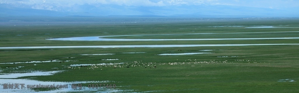 巴音 布鲁克 九曲十八弯 巴音布鲁克 草原 沼泽地 沼泽 湖泊 湖水 牧场 羊群 雪山 白云 新疆 风景名胜 旅游 旅游胜地 自然风景 自然景观
