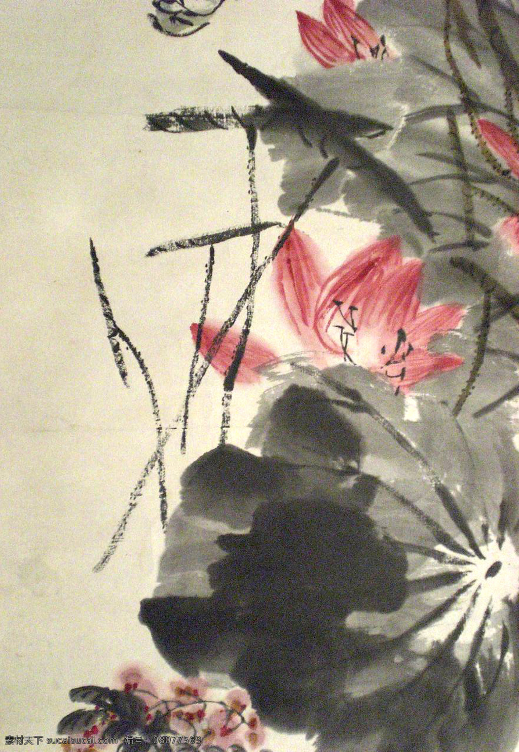 齐白石 国画 荷花 荷叶 绘画书法 文化艺术