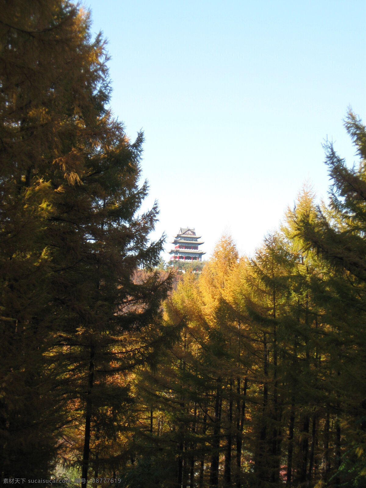 秋景免费下载 秋景 秋天 山水风景 树林 松树 自然景观 楼阁 psd源文件