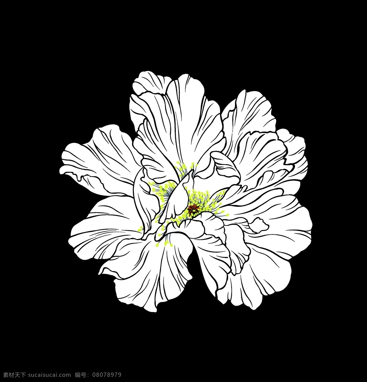 手绘花卉 线条花卉 简单花卉 印花素材 服装图案素材 家纺图案素材