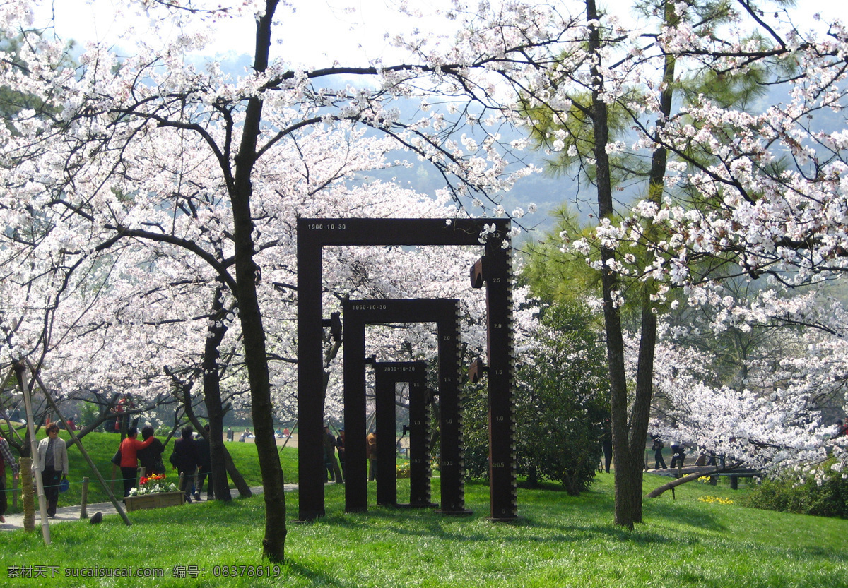 樱花免费下载 画册设计 微利设计 樱花 画册 样本 书籍 杂志 报纸 风景 生活 旅游餐饮
