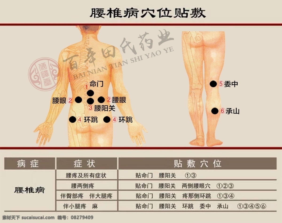 膏药贴敷 膏药海报 穴位 穴位海报 人体图