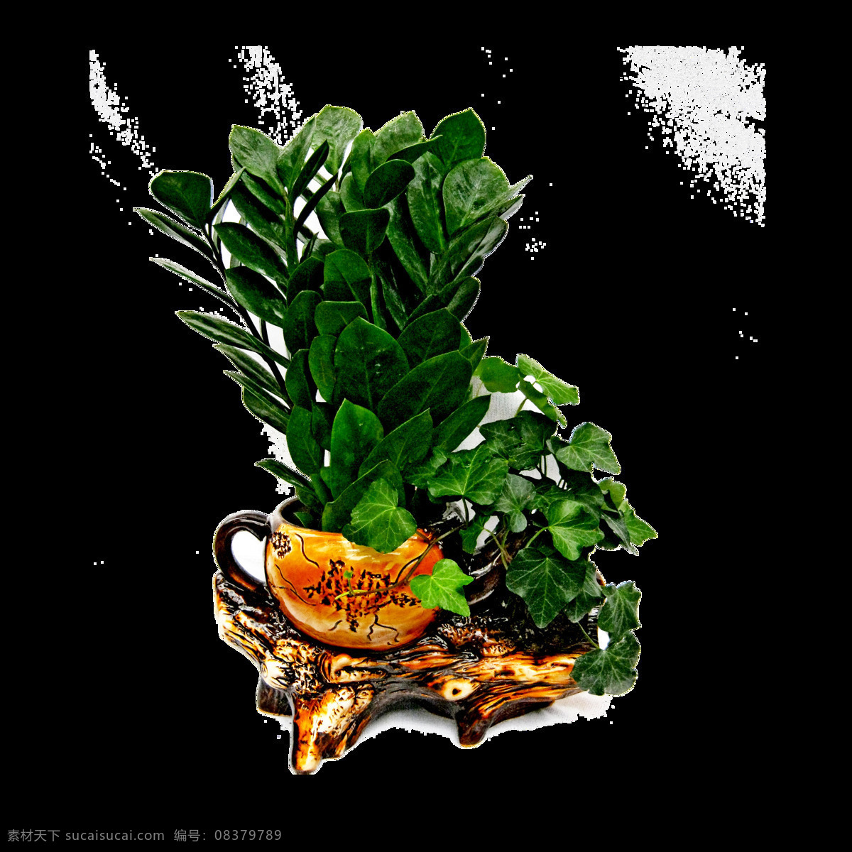 唯美 创意 盆景 绿植 高清 花木 盆花