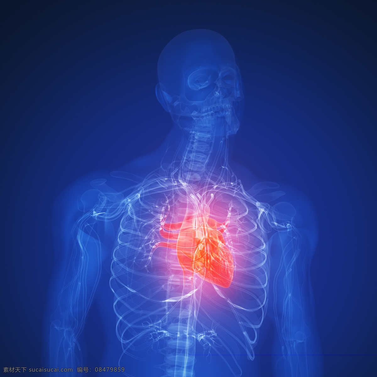 人体 肺部 x 光 透视图 医疗主题 x光 图像 医疗护理 现代科技