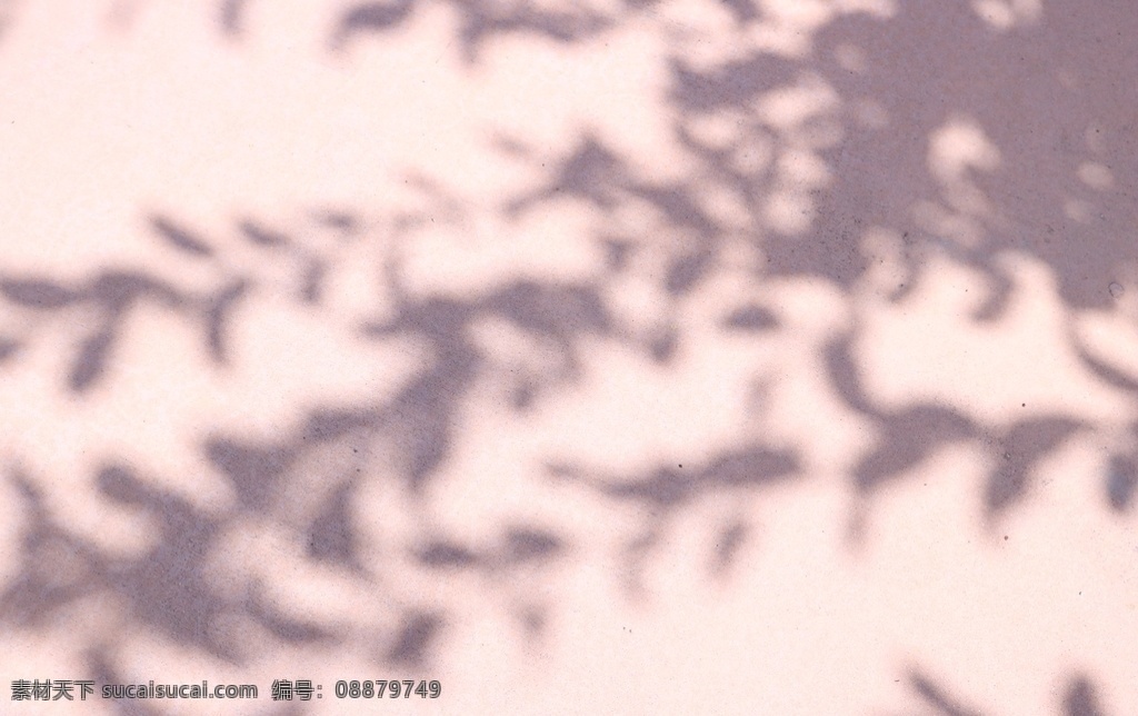 光影 树叶影子 影子 晴天 太阳 暖光 光 底纹边框 背景底纹