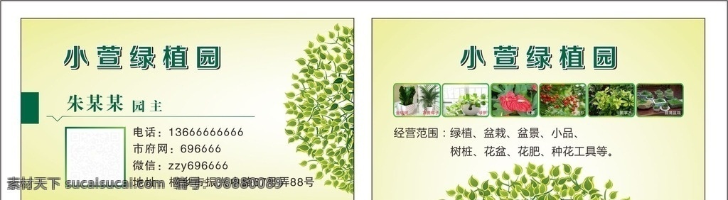植物盆景名片 植物 盆景 名片 盆栽 鹅掌木 红豆杉 富贵椰子 菖蒲盆栽 卡片 台牌 名片卡片