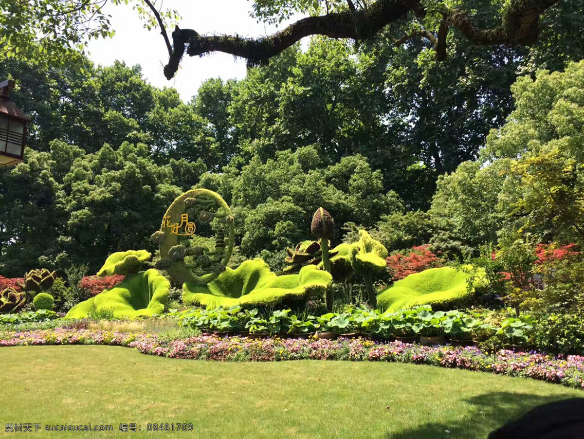 景色 风景 苏州美景 绿色 树 自然景观 自然风景