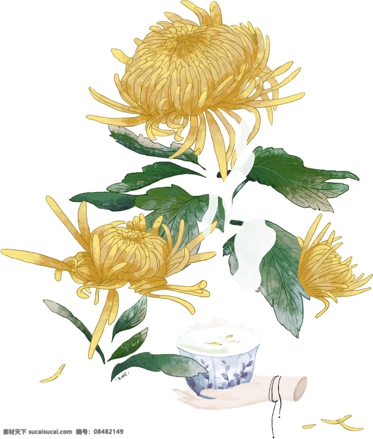 重阳节 卡通 菊花 免 抠 黄菊花 节日 卡通菊花 手绘菊花 菊花盆栽 盆栽 传统节日 免抠