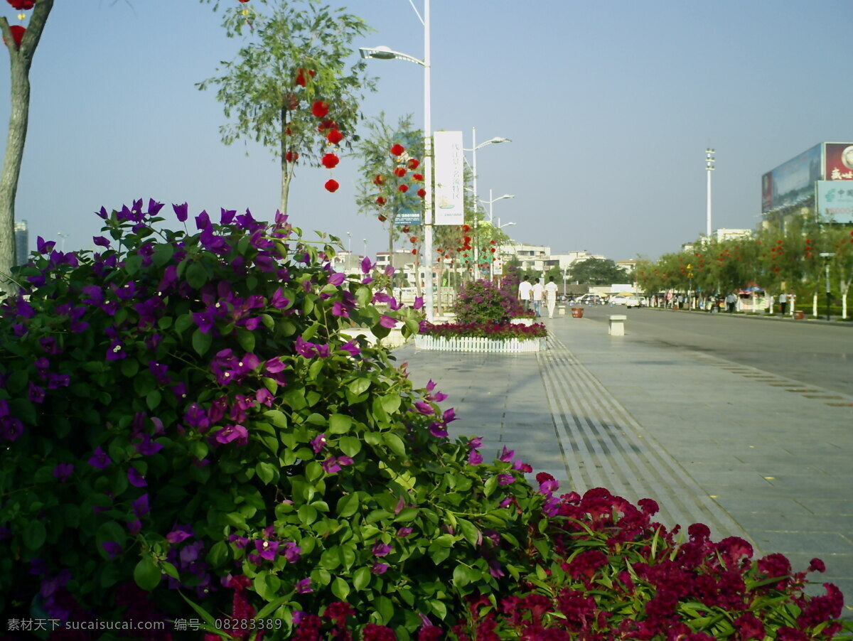 花卉 风景 图 风景图 公园 花草 生活 旅游餐饮