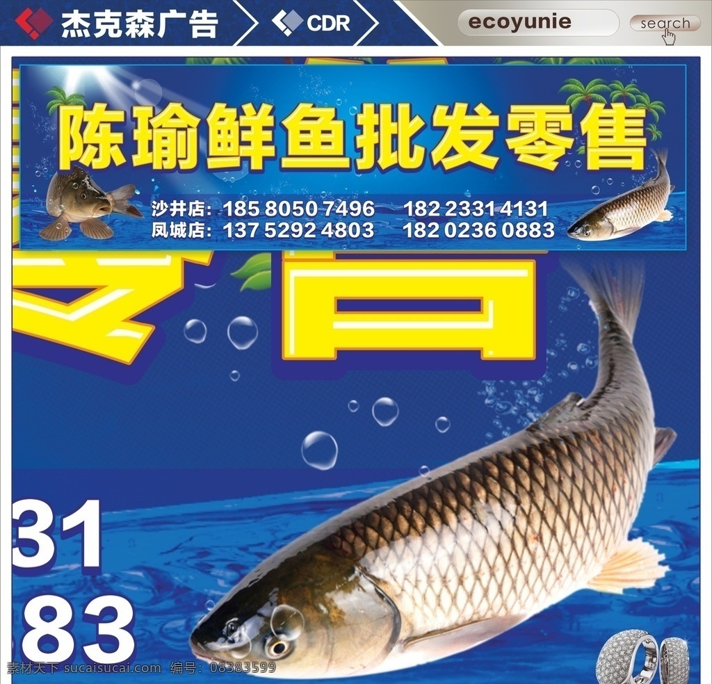 鱼店招牌 鲜鱼批发 鱼店名片 展板 海鲜鱼 海鲜展板 鱼海报 鱼素材 蓝色背景 酸菜鱼 鲢鱼 鱼品种 海鲜图片 贝类海鲜 海鲜种类 海鲜图片大全 海鲜名称 画册 海鲜品种 海鲜名片素材 海鲜海报 海鲜大礼包 海鲜美食 海鲜馆挂画 挂图 海鲜馆图片 花鲢 白鲢 带鱼 年鱼 鲤鱼 草鱼 鲫鱼 横竖幅
