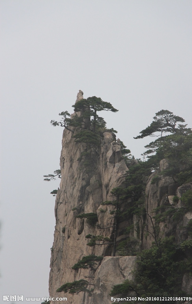 黄山 黄山风光摄影 冬天黄山 名山大川 地质公园 奇松怪山 松树 安微黄山宏村 自然景观 山水风景