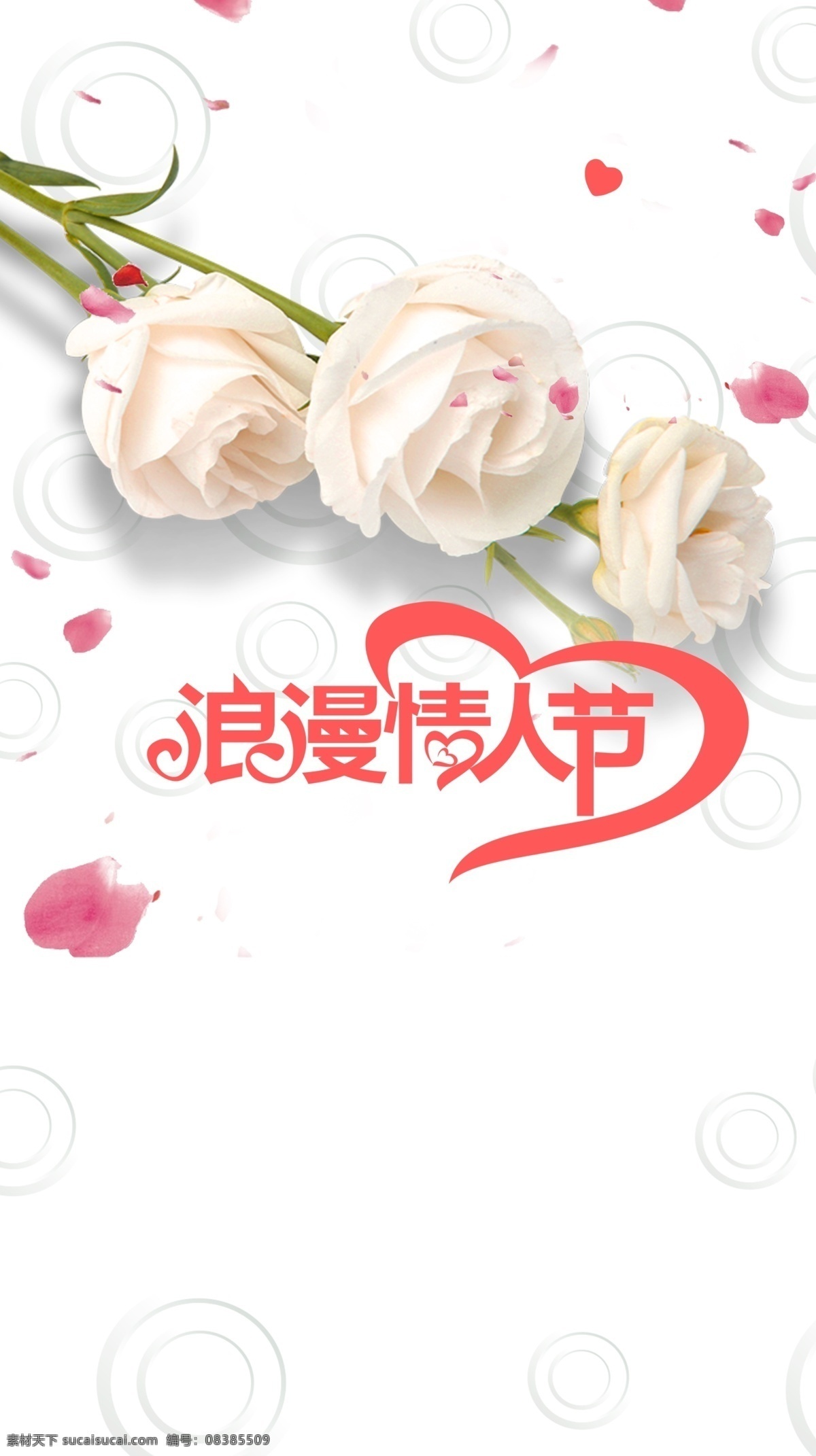 文艺 小 清新 花卉 七夕 鲜花 定制 背景 花束 情人节 鲜花店 鲜花预定 干花 花店 鲜花铺子 花 玫瑰 520 美妆