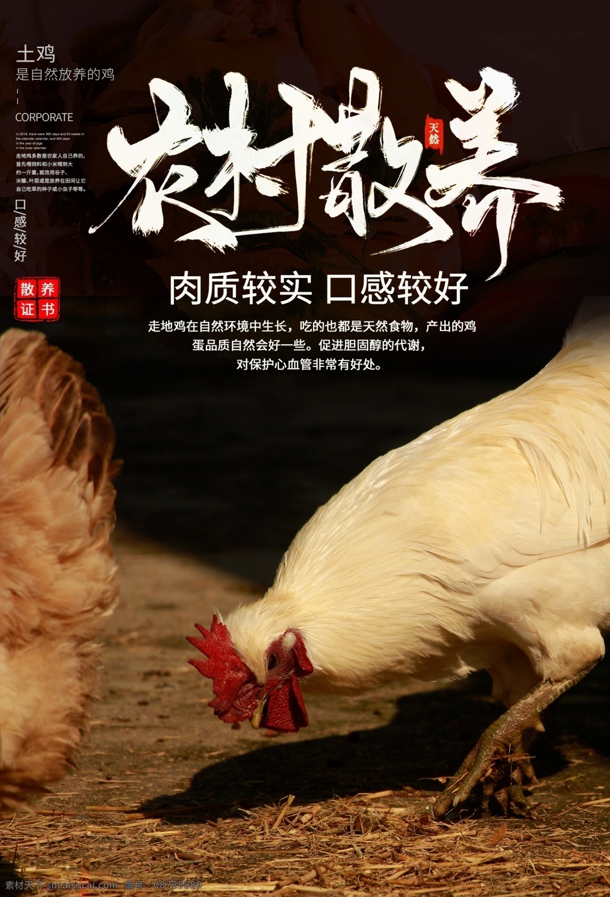 散 养鸡 活动 宣传海报 散养鸡 宣传 海报