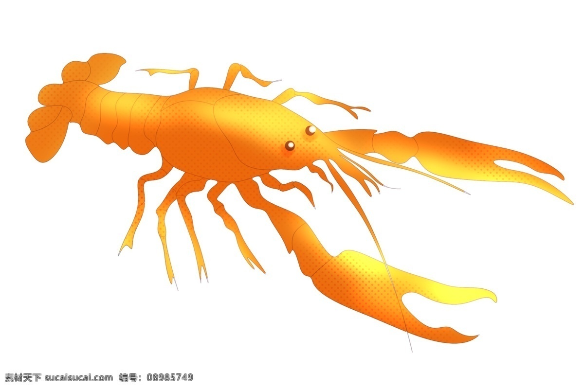 漂亮 龙虾 卡通 插画 漂亮的龙虾 卡通插画 动物插画 龙虾插画 龙虾动物 美食龙虾 黄色的龙虾