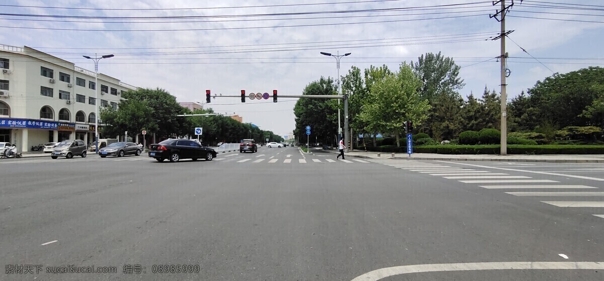 街景 斑马线 马路 楼房 蓝天 白云 绿树 汽车