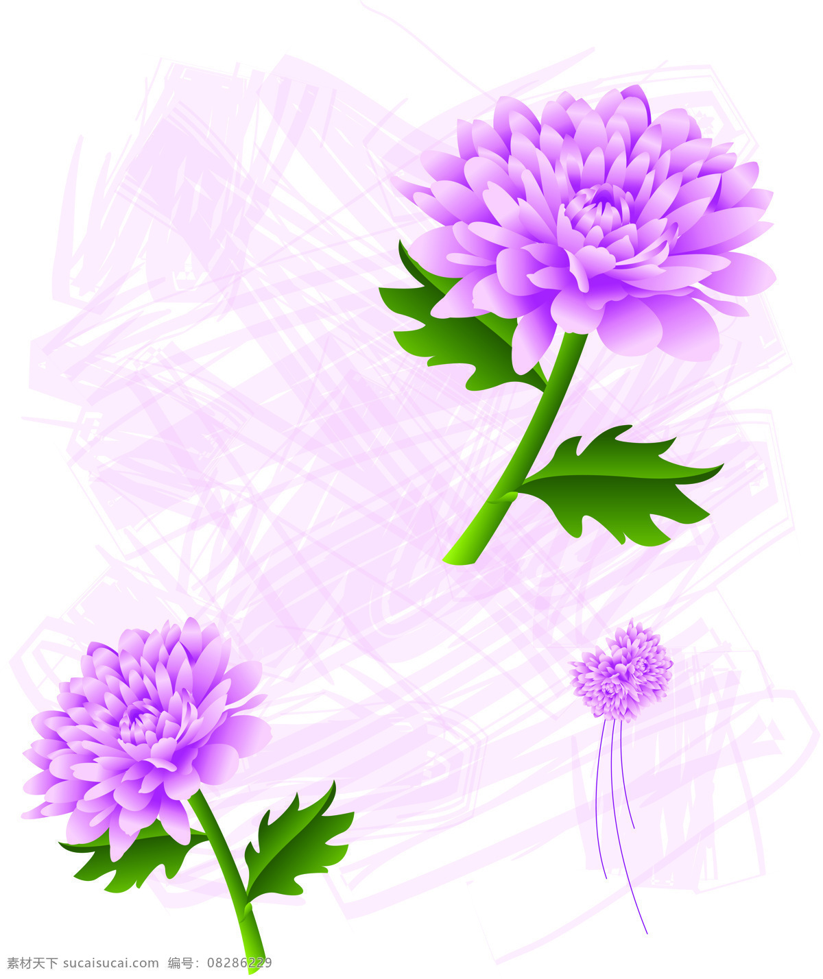 室内 移门 紫色 菊花 创意 画 移门画 花朵 效果图