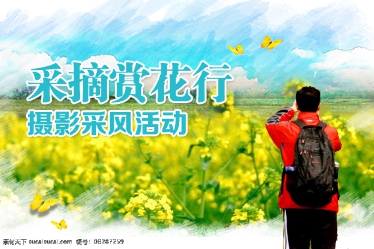 采摘 赏花 行 蝴蝶 油菜花 采风 原创设计 原创网页设计