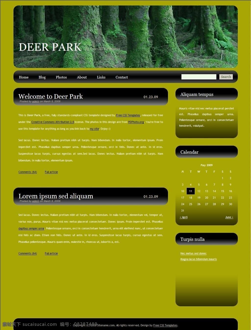森林 主题 blog 网页模板 网页素材 网页代码