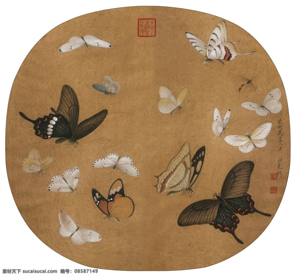 宋 晴 春 蝶 戏 图 国画 白色