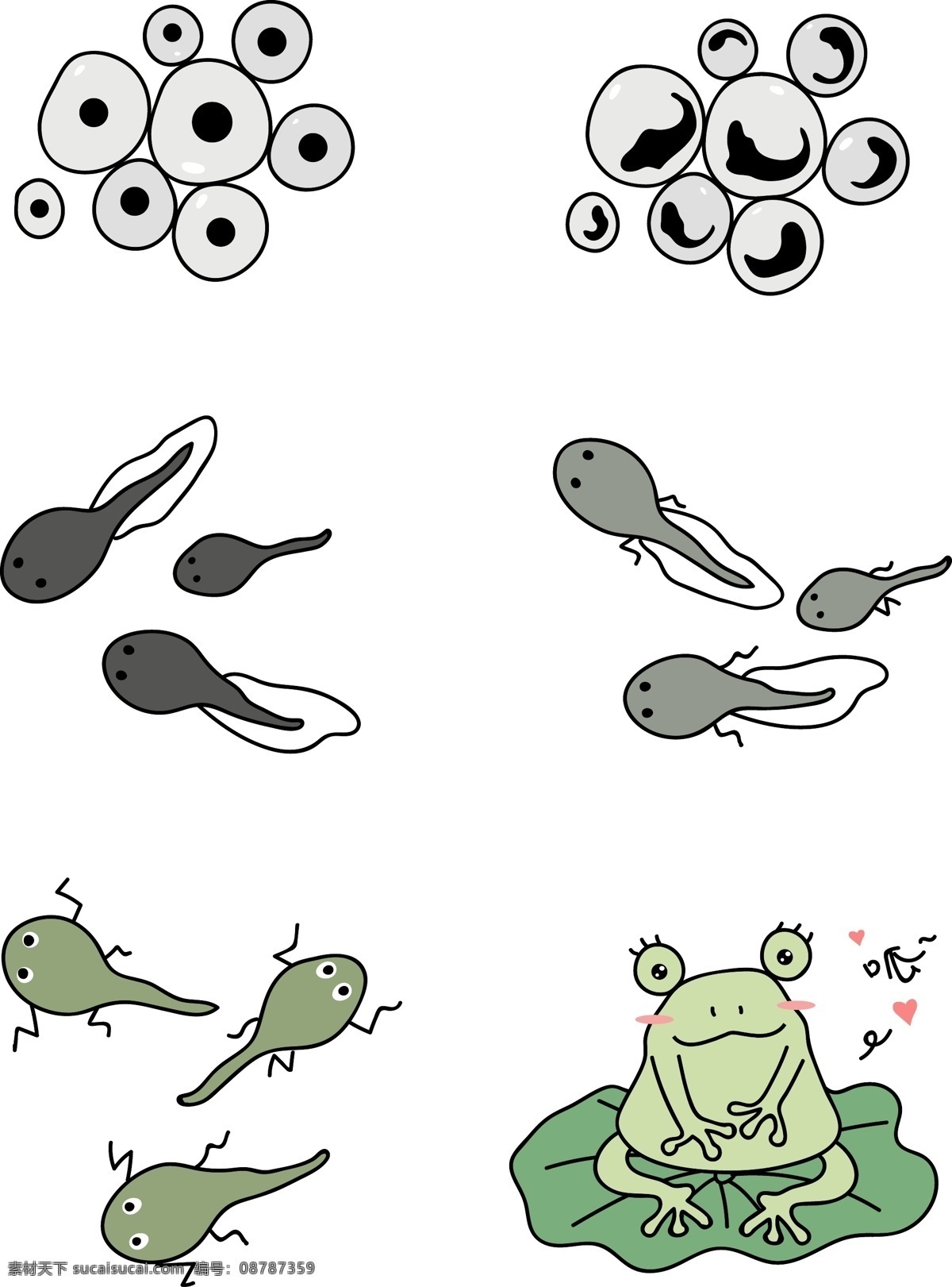 可爱 卡通 萌 系 青蛙 蝌蚪 生长 过程 图 商用 元素 萌系