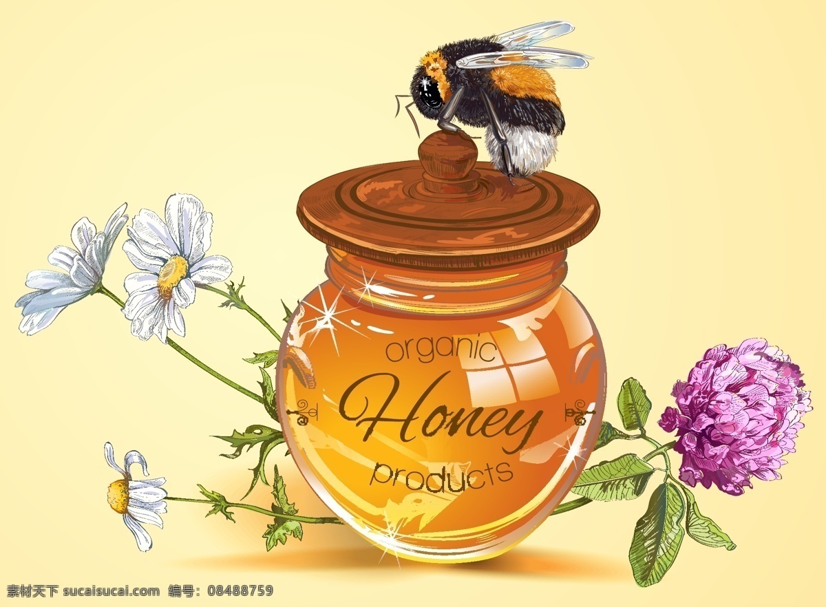 插画蜂蜜 插画蜜蜂 蜜蜂 高清蜂蜜 蜂巢 食品 蜜糖 蜂产品 餐饮美食 传统美食 矢量 3d设计 3d作品