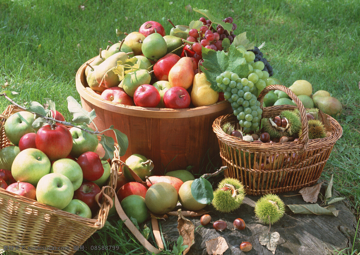 水果 水果图片 果实 梨子 雪梨 红苹果 板栗 葡萄 青苹果 摄影图库 餐饮美食