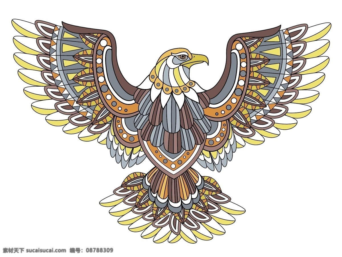 手绘 时尚 彩绘 老鹰 插画 动物 艺术