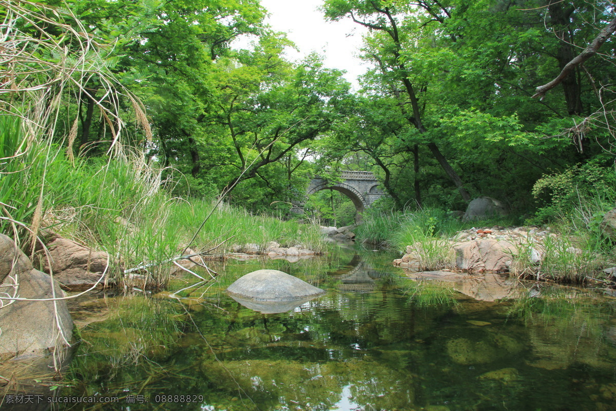 自然风景写真 自然 流水 河流 草地 树林 天空 树叶 植物 阳光 树 树枝 风景 自然风景 美丽风景 风景摄影 自然景观 山水风景