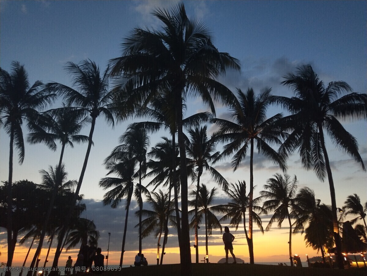 海岛椰树 傍晚 椰树 海岛 晚霞 美丽 美景 壮阔 夕阳 旅游摄影 国外旅游