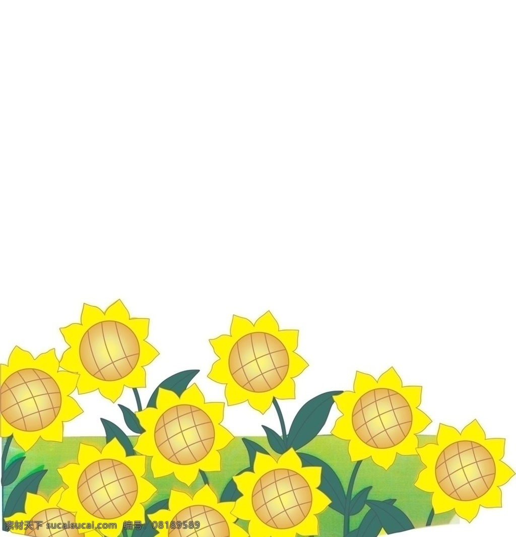 葵花 花 设计类 矢量