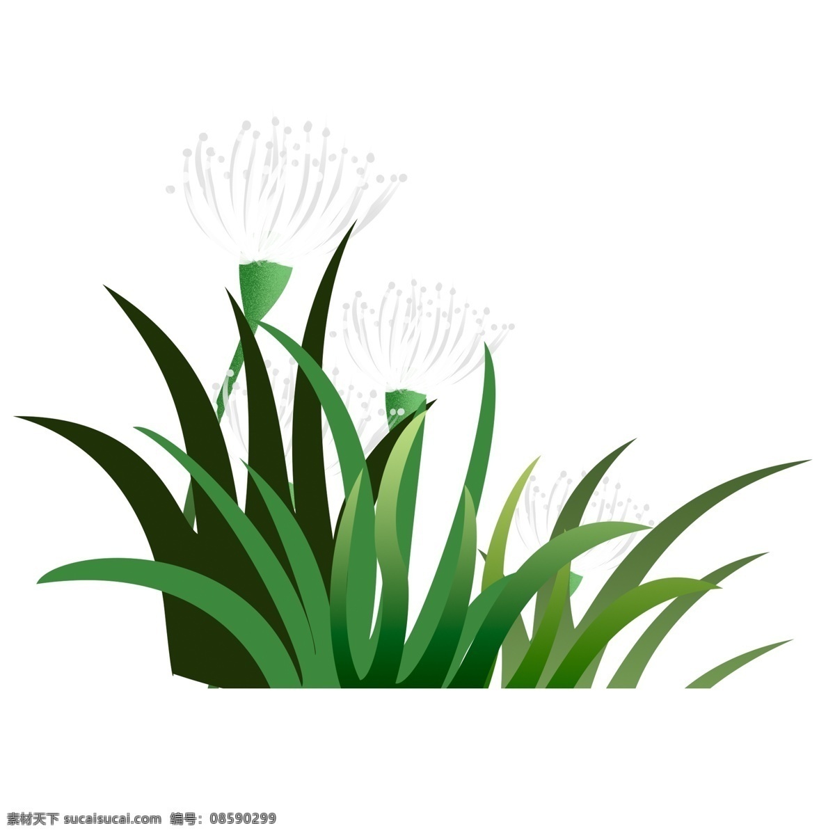 绿色 清新 风水 彩 植物 花朵 盆栽 插画 免扣素材 透明素材 卡通素材 可爱