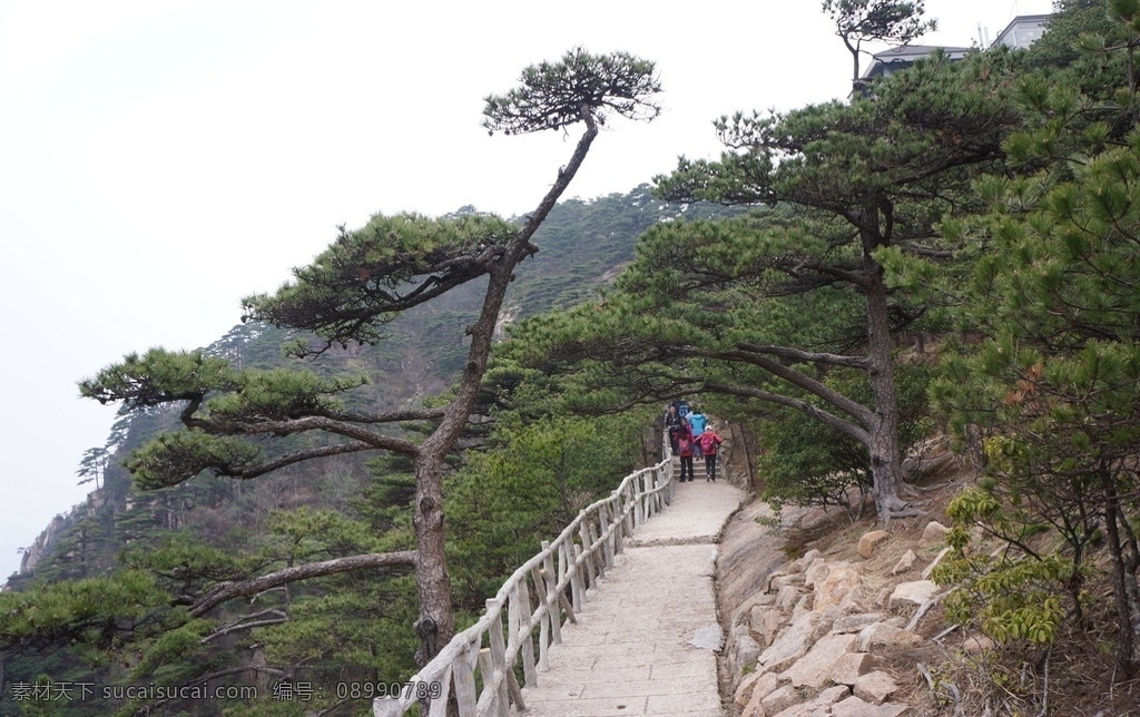 黄山迎客松 黄山 黄山风景区 风景 山峰 山 安徽 安徽风景 黄山风景 迎客松 松树 旅游摄影 自然风景